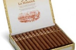 san cristobal el morro cigars