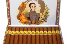 bolivar coronas junior