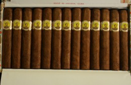 bolivar royal coronas