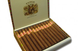 Punch Churchill – Pack of 25