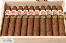hoyo de monterrey short hoyo piramides