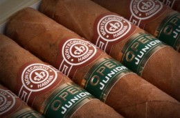 montecristo open master