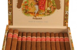 romeo y julieta sport largos